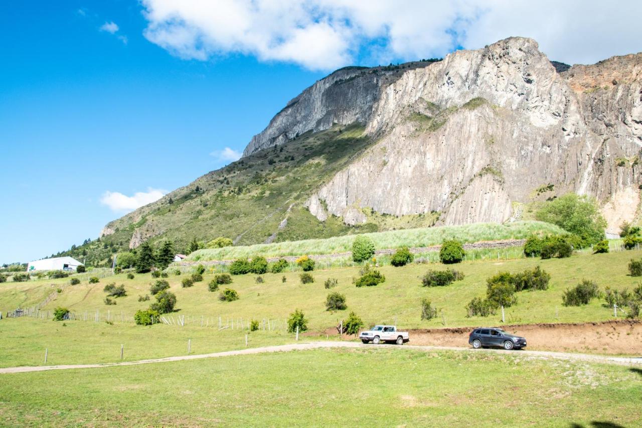 Austral Patagonian *
